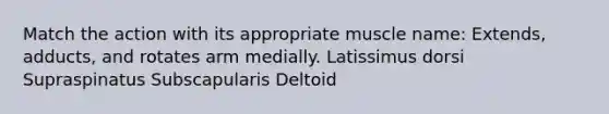 Match the action with its appropriate muscle name: Extends, adducts, and rotates arm medially. Latissimus dorsi Supraspinatus Subscapularis Deltoid