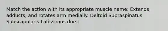 Match the action with its appropriate muscle name: Extends, adducts, and rotates arm medially. Deltoid Supraspinatus Subscapularis Latissimus dorsi