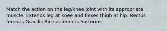 Match the action on the leg/knee joint with its appropriate muscle: Extends leg at knee and flexes thigh at hip. Rectus femoris Gracilis Biceps femoris Sartorius