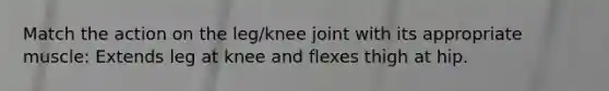 Match the action on the leg/knee joint with its appropriate muscle: Extends leg at knee and flexes thigh at hip.