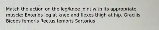 Match the action on the leg/knee joint with its appropriate muscle: Extends leg at knee and flexes thigh at hip. Gracilis Biceps femoris Rectus femoris Sartorius