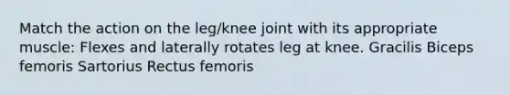 Match the action on the leg/knee joint with its appropriate muscle: Flexes and laterally rotates leg at knee. Gracilis Biceps femoris Sartorius Rectus femoris