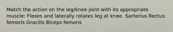 Match the action on the leg/knee joint with its appropriate muscle: Flexes and laterally rotates leg at knee. Sartorius Rectus femoris Gracilis Biceps femoris