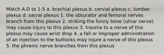 Match A-D to 1-5 a. brachial plexus b. cervial plexus c. lumbar plexus d. sacral plexus 1. the obturator and femoral nerves branch from this plexus 2. striking the funny bone (ulnar nerve) may cause injury to this plexus 3. trauma to a nerve of this plexus may cause wrist drop 4. a fall or improper administration of an injection to the buttocks may injure a nerve of this plexus 5. the phrenic nerve branches from this plexus