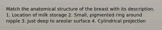 Match the anatomical structure of the breast with its description. 1. Location of milk storage 2. Small, pigmented ring around nipple 3. Just deep to areolar surface 4. Cylindrical projection