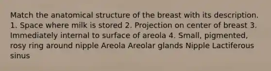 Match the anatomical structure of the breast with its description. 1. Space where milk is stored 2. Projection on center of breast 3. Immediately internal to surface of areola 4. Small, pigmented, rosy ring around nipple Areola Areolar glands Nipple Lactiferous sinus