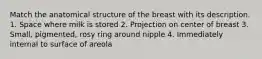 Match the anatomical structure of the breast with its description. 1. Space where milk is stored 2. Projection on center of breast 3. Small, pigmented, rosy ring around nipple 4. Immediately internal to surface of areola