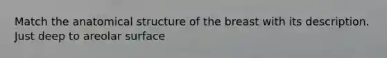 Match the anatomical structure of the breast with its description. Just deep to areolar surface