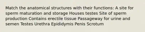 Match the anatomical structures with their functions: A site for sperm maturation and storage Houses testes Site of sperm production Contains erectile tissue Passageway for urine and semen Testes Urethra Epididymis Penis Scrotum