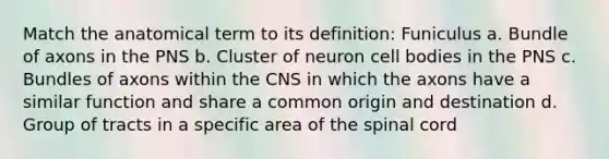 Match the anatomical term to its definition: Funiculus a. Bundle of axons in the PNS b. Cluster of neuron cell bodies in the PNS c. Bundles of axons within the CNS in which the axons have a similar function and share a common origin and destination d. Group of tracts in a specific area of <a href='https://www.questionai.com/knowledge/kkAfzcJHuZ-the-spinal-cord' class='anchor-knowledge'>the spinal cord</a>