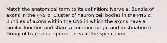 Match the anatomical term to its definition: Nerve a. Bundle of axons in the PNS b. Cluster of neuron cell bodies in the PNS c. Bundles of axons within the CNS in which the axons have a similar function and share a common origin and destination d. Group of tracts in a specific area of <a href='https://www.questionai.com/knowledge/kkAfzcJHuZ-the-spinal-cord' class='anchor-knowledge'>the spinal cord</a>