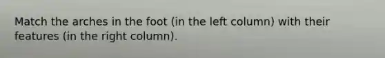 Match the arches in the foot (in the left column) with their features (in the right column).