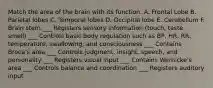 Match the area of the brain with its function. A. Frontal Lobe B. Parietal lobes C. Temporal lobes D. Occipital lobe E. Cerebellum F. Brain stem ___ Registers sensory information (touch, taste, smell) ___ Controls basic body regulation such as BP, HR, RR, temperature, swallowing, and consciousness ___ Contains Broca's area ___ Controls judgment, insight, speech, and personality ___ Registers visual input ___ Contains Wernicke's area ___ Controls balance and coordination ___ Registers auditory input