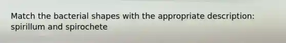 Match the bacterial shapes with the appropriate description: spirillum and spirochete