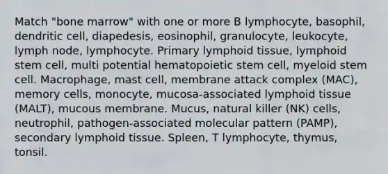 Match "bone marrow" with one or more B lymphocyte, basophil, dendritic cell, diapedesis, eosinophil, granulocyte, leukocyte, lymph node, lymphocyte. Primary lymphoid tissue, lymphoid stem cell, multi potential hematopoietic stem cell, myeloid stem cell. Macrophage, mast cell, membrane attack complex (MAC), memory cells, monocyte, mucosa-associated lymphoid tissue (MALT), mucous membrane. Mucus, natural killer (NK) cells, neutrophil, pathogen-associated molecular pattern (PAMP), secondary lymphoid tissue. Spleen, T lymphocyte, thymus, tonsil.