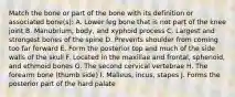 Match the bone or part of the bone with its definition or associated bone(s): A. Lower leg bone that is not part of the knee joint B. Manubrium, body, and xyphoid process C. Largest and strongest bones of the spine D. Prevents shoulder from coming too far forward E. Form the posterior top and much of the side walls of the skull F. Located in the maxillae and frontal, sphenoid, and ethmoid bones G. The second cervical vertebrae H. The forearm bone (thumb side) I. Malleus, incus, stapes J. Forms the posterior part of the hard palate