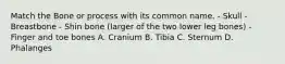 Match the Bone or process with its common name. - Skull - Breastbone - Shin bone (larger of the two lower leg bones) - Finger and toe bones A. Cranium B. Tibia C. Sternum D. Phalanges
