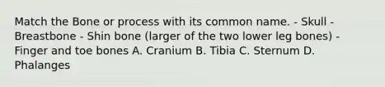 Match the Bone or process with its common name. - Skull - Breastbone - Shin bone (larger of the two lower leg bones) - Finger and toe bones A. Cranium B. Tibia C. Sternum D. Phalanges