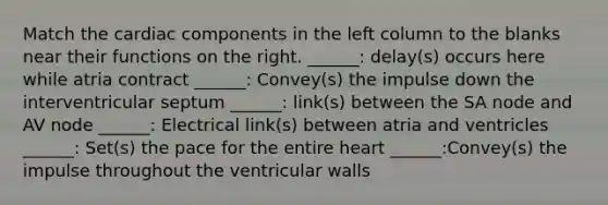 Match the cardiac components in the left column to the blanks near their functions on the right. ______: delay(s) occurs here while atria contract ______: Convey(s) the impulse down the interventricular septum ______: link(s) between the SA node and AV node ______: Electrical link(s) between atria and ventricles ______: Set(s) the pace for the entire heart ______:Convey(s) the impulse throughout the ventricular walls