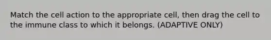 Match the cell action to the appropriate cell, then drag the cell to the immune class to which it belongs. (ADAPTIVE ONLY)