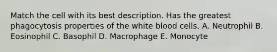 Match the cell with its best description. Has the greatest phagocytosis properties of the white blood cells. A. Neutrophil B. Eosinophil C. Basophil D. Macrophage E. Monocyte