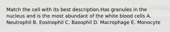 Match the cell with its best description.Has granules in the nucleus and is the most abundant of the white blood cells A. Neutrophil B. Eosinophil C. Basophil D. Macrophage E. Monocyte