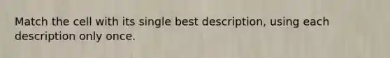 Match the cell with its single best description, using each description only once.