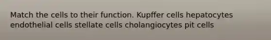 Match the cells to their function. Kupffer cells hepatocytes endothelial cells stellate cells cholangiocytes pit cells