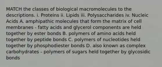 MATCH the classes of biological macromolecules to the descriptions. i. Proteins ii. Lipids iii. Polysaccharides iv. Nucleic Acids A. amphipathic molecules that form the matrix of cell membranes - fatty acids and glycerol components are held together by ester bonds B. polymers of amino acids held together by peptide bonds C. polymers of nucleotides held together by phosphodiester bonds D. also known as complex carbohydrates - polymers of sugars held together by glycosidic bonds