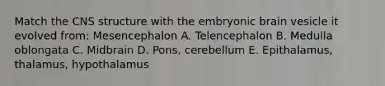 Match the CNS structure with the embryonic brain vesicle it evolved from: Mesencephalon A. Telencephalon B. Medulla oblongata C. Midbrain D. Pons, cerebellum E. Epithalamus, thalamus, hypothalamus