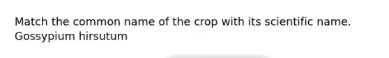 Match the common name of the crop with its scientific name. Gossypium hirsutum