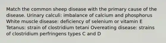 Match the common sheep disease with the primary cause of the disease. Urinary calculi: imbalance of calcium and phosphorus White muscle disease: deficiency of selenium or vitamin E Tetanus: strain of clostridium tetani Overeating disease: strains of clostridium perfringens types C and D