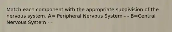 Match each component with the appropriate subdivision of the nervous system. A= Peripheral Nervous System - - B=Central Nervous System - -