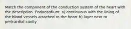 Match the component of the conduction system of the heart with the description. Endocardium: a) continuous with the lining of the blood vessels attached to the heart b) layer next to pericardial cavity