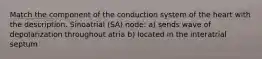 Match the component of the conduction system of the heart with the description. Sinoatrial (SA) node: a) sends wave of depolarization throughout atria b) located in the interatrial septum