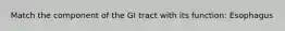 Match the component of the GI tract with its function: Esophagus