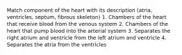 Match component of the heart with its description (atria, ventricles, septum, fibrous skeleton) 1. Chambers of the heart that receive blood from the venous system 2. Chambers of the heart that pump blood into the arterial system 3. Separates the right atrium and ventricle from the left atrium and ventricle 4. Separates the atria from the ventricles