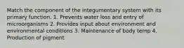 Match the component of the integumentary system with its primary function. 1. Prevents water loss and entry of microorganisms 2. Provides input about environment and environmental conditions 3. Maintenance of body temp 4. Production of pigment