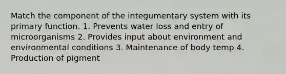 Match the component of the integumentary system with its primary function. 1. Prevents water loss and entry of microorganisms 2. Provides input about environment and environmental conditions 3. Maintenance of body temp 4. Production of pigment