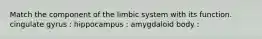 Match the component of the limbic system with its function. cingulate gyrus : hippocampus : amygdaloid body :