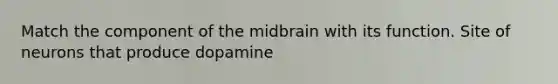 Match the component of the midbrain with its function. Site of neurons that produce dopamine