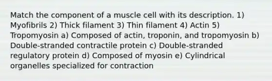 Match the component of a muscle cell with its description. 1) Myofibrils 2) Thick filament 3) Thin filament 4) Actin 5) Tropomyosin a) Composed of actin, troponin, and tropomyosin b) Double-stranded contractile protein c) Double-stranded regulatory protein d) Composed of myosin e) Cylindrical organelles specialized for contraction