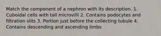 Match the component of a nephron with its description. 1. Cuboidal cells with tall microvilli 2. Contains podocytes and filtration slits 3. Portion just before the collecting tubule 4. Contains descending and ascending limbs