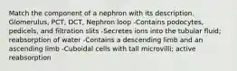 Match the component of a nephron with its description. Glomerulus, PCT, DCT, Nephron loop -Contains podocytes, pedicels, and filtration slits -Secretes ions into the tubular fluid; reabsorption of water -Contains a descending limb and an ascending limb -Cuboidal cells with tall microvilli; active reabsorption