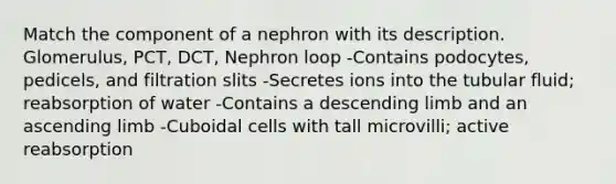 Match the component of a nephron with its description. Glomerulus, PCT, DCT, Nephron loop -Contains podocytes, pedicels, and filtration slits -Secretes ions into the tubular fluid; reabsorption of water -Contains a descending limb and an ascending limb -Cuboidal cells with tall microvilli; active reabsorption