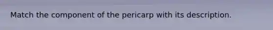 Match the component of the pericarp with its description.