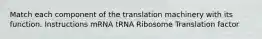 Match each component of the translation machinery with its function. Instructions mRNA tRNA Ribosome Translation factor