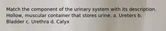 Match the component of the urinary system with its description. Hollow, muscular container that stores urine. a. Ureters b. Bladder c. Urethra d. Calyx