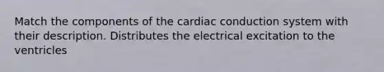 Match the components of the cardiac conduction system with their description. Distributes the electrical excitation to the ventricles