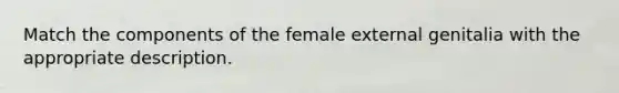 Match the components of the female external genitalia with the appropriate description.